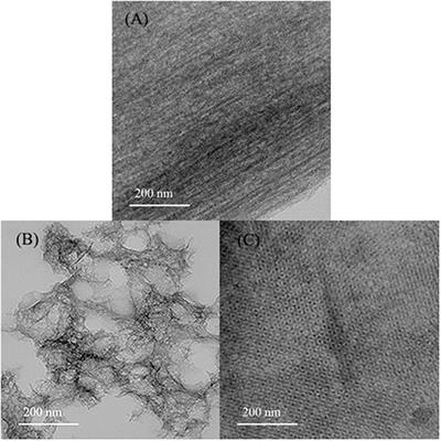 Highly Efficient Adsorption of Phenylethanoid Glycosides on Mesoporous Carbon